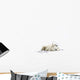 Two Polar Bears Laying Together Wall Mural