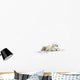 Two Polar Bears Laying Together Wall Mural