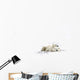 Two Polar Bears Laying Together Wall Mural