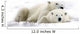 Two Polar Bears Laying Together Wall Mural