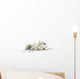 Two Polar Bears Laying Together Wall Decal