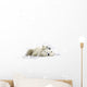 Two Polar Bears Laying Together Wall Decal