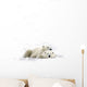 Two Polar Bears Laying Together Wall Decal