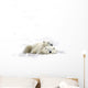 Two Polar Bears Laying Together Wall Decal