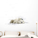 Two Polar Bears Laying Together Wall Decal