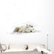 Two Polar Bears Laying Together Wall Decal