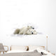 Two Polar Bears Laying Together Wall Decal