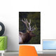 Male Elk Wall Mural