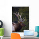 Male Elk Wall Mural