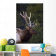 Male Elk Wall Mural