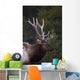 Male Elk Wall Mural