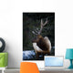 Male Elk Wall Mural