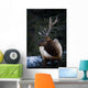 Male Elk Wall Mural