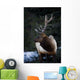 Male Elk Wall Mural