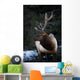 Male Elk Wall Mural