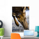 Elk Wall Mural