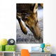 Elk Wall Mural