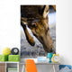 Elk Wall Mural
