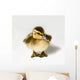 Duckling Wall Decal
