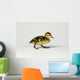 Duckling Walking Wall Decal
