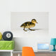 Duckling Walking Wall Decal