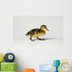 Duckling Walking Wall Decal