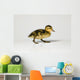 Duckling Walking Wall Decal