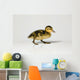 Duckling Walking Wall Decal