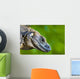 Lizard Wall Mural