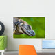 Lizard Wall Mural