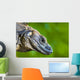 Lizard Wall Mural