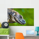 Lizard Wall Mural