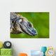 Lizard Wall Mural