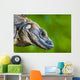 Lizard Wall Mural