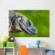 Lizard Wall Mural