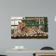 Amur Leopard Relaxed