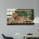 Amur Leopard Relaxed