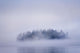 Foggy Island With Spruce Trees Wall Mural