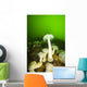 Plumose Sea Anemones, Alaska, Usa Wall Mural
