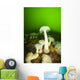 Plumose Sea Anemones, Alaska, Usa Wall Mural