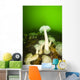 Plumose Sea Anemones, Alaska, Usa Wall Mural