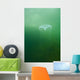 Aequoria Jellyfish Wall Mural
