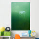 Aequoria Jellyfish Wall Mural