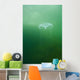 Aequoria Jellyfish Wall Mural