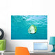 Batfish In Water Wall Mural