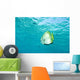 Batfish In Water Wall Mural