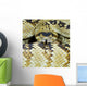 Northern Black-Tailed Rattlesnake Wall Mural