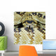 Northern Black-Tailed Rattlesnake Wall Mural
