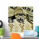 Northern Black-Tailed Rattlesnake Wall Mural