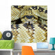Northern Black-Tailed Rattlesnake Wall Mural